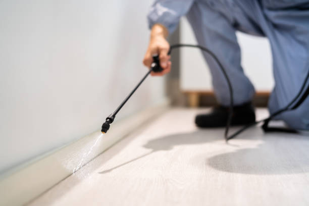 Professional exterminator conducting IPM assessment in Suffield Depot